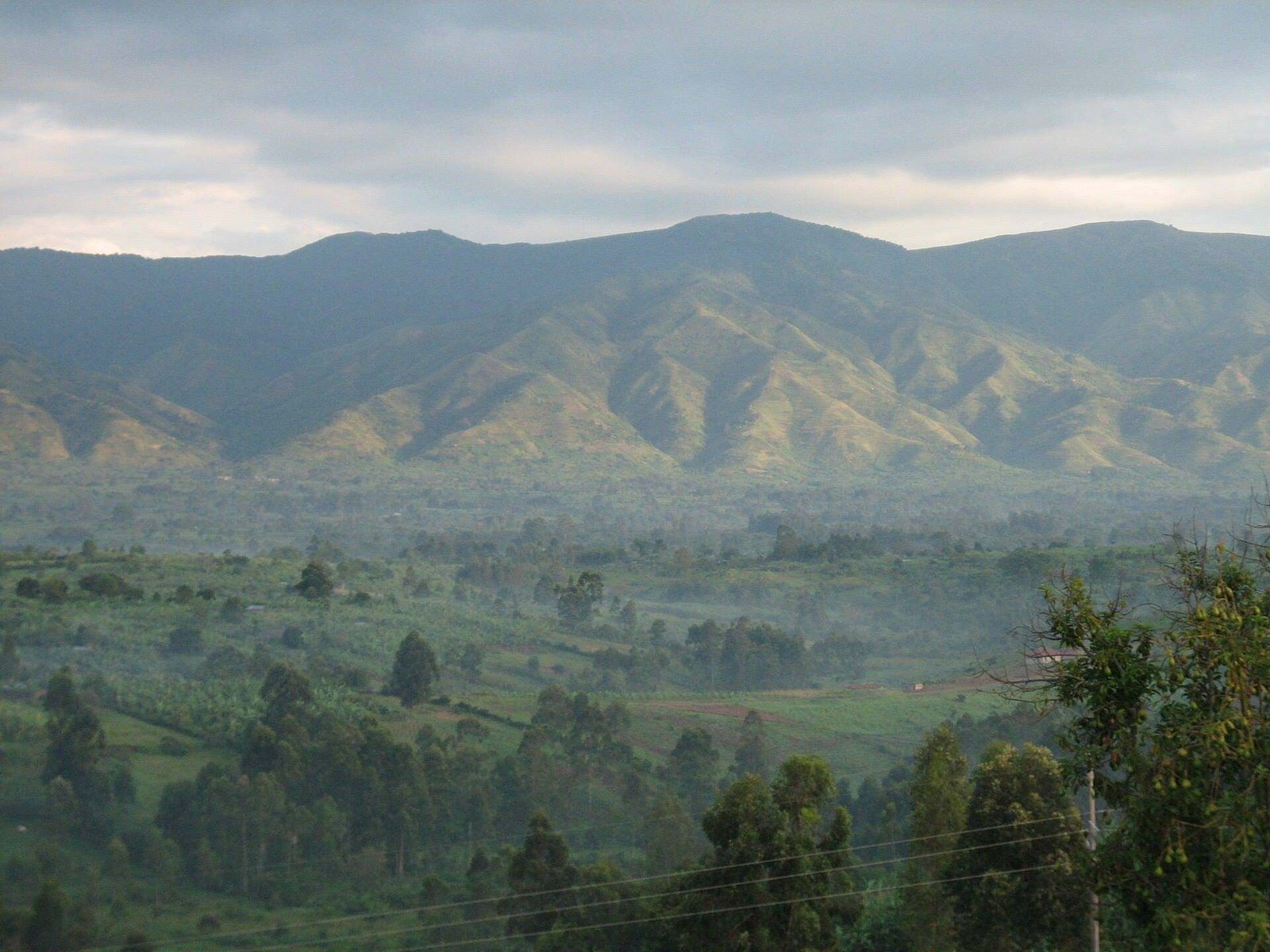 The Rwenzori Mountains rising above the rift valley, Uganda