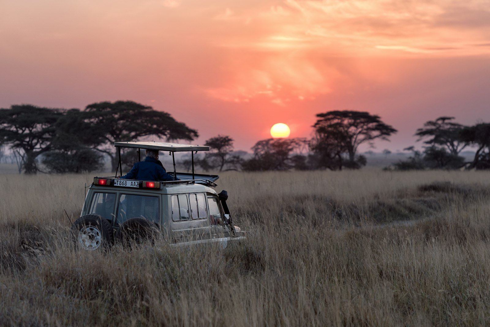 Savanna landscape at golden hour in Uganda
